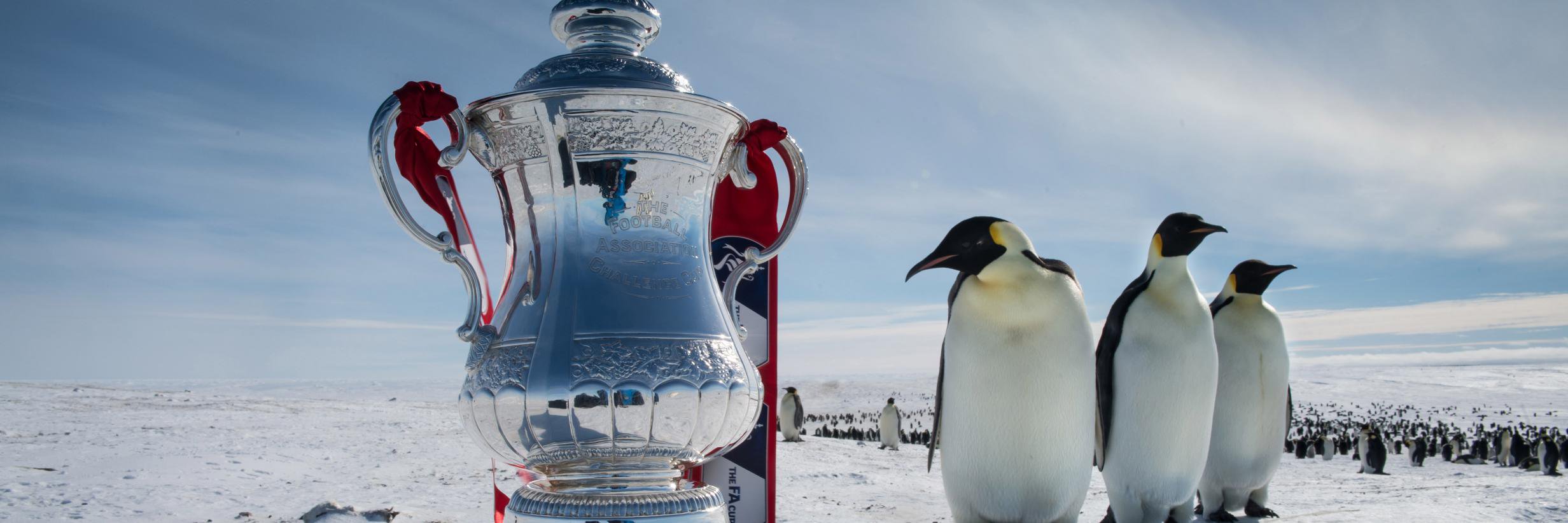 IAmTheFACup's profile banner image