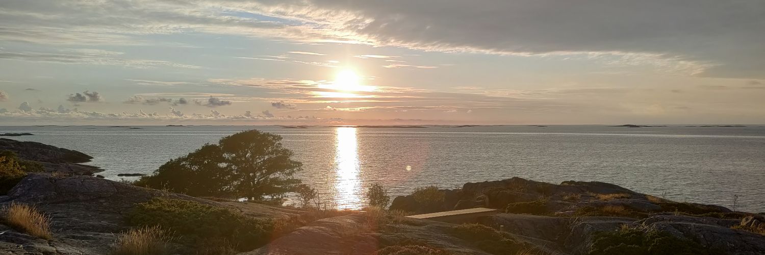 Sheepbay's profile banner image