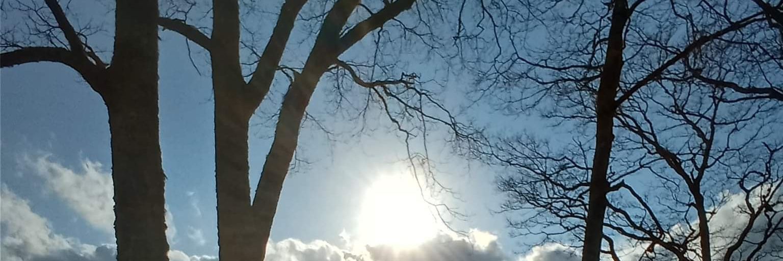 Clayton Edwards banner