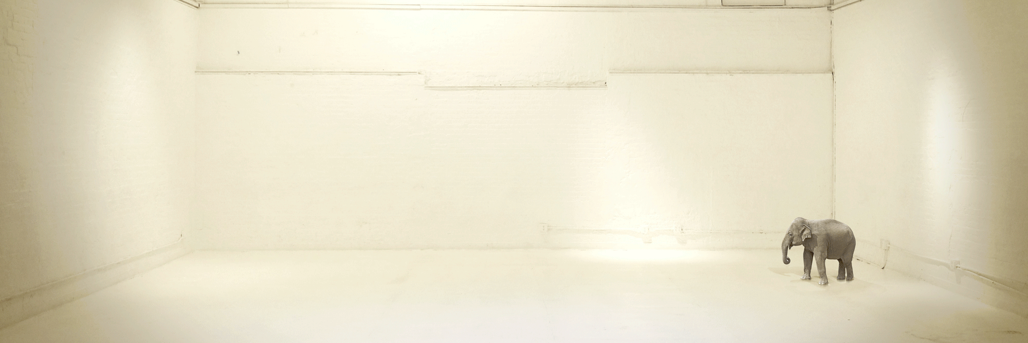 MarcelSyd's profile banner image