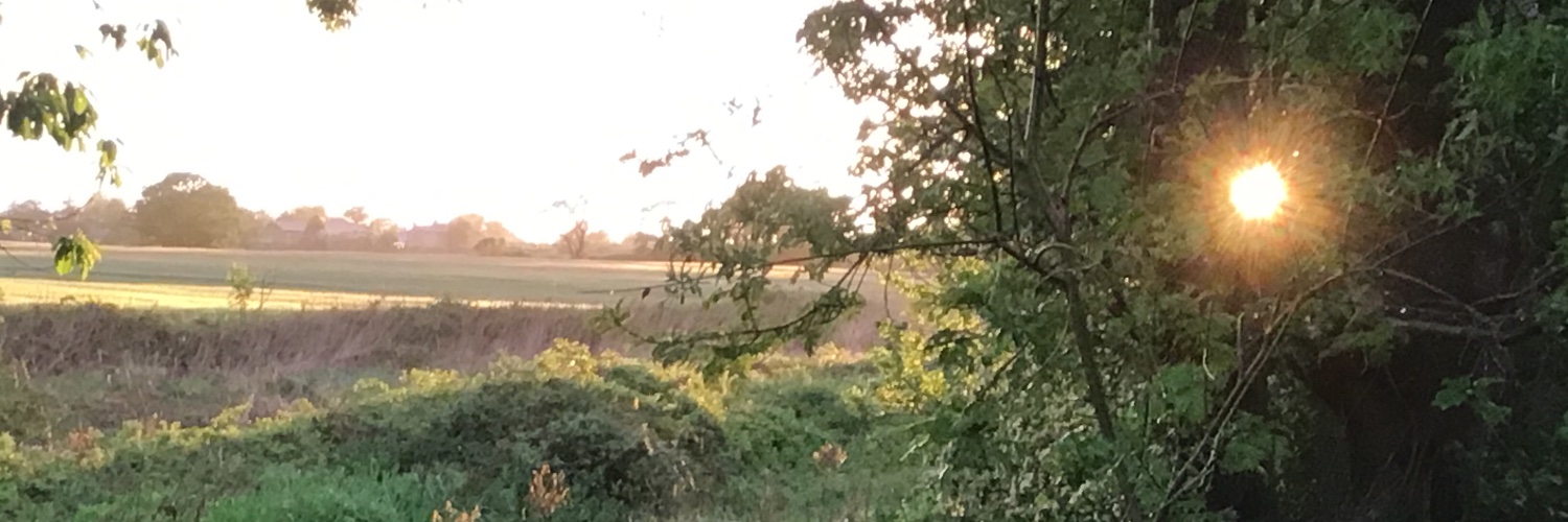 tonysutton69's profile banner image