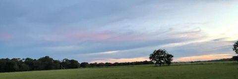 Tracymichelle78's profile banner image