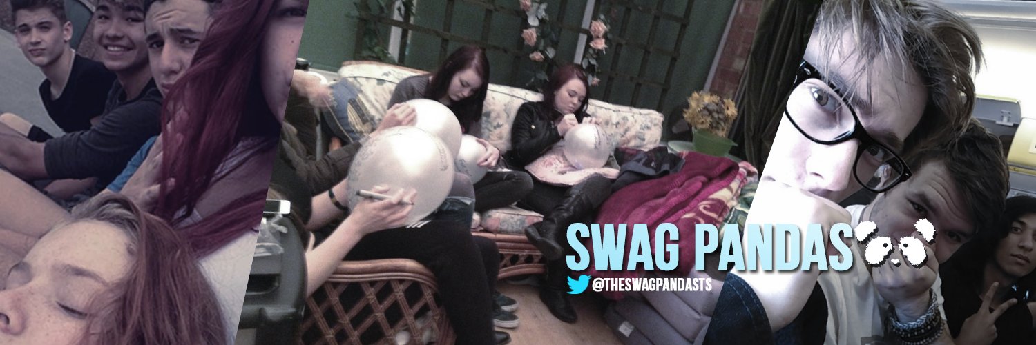 TheSwagPandasTS's profile banner image