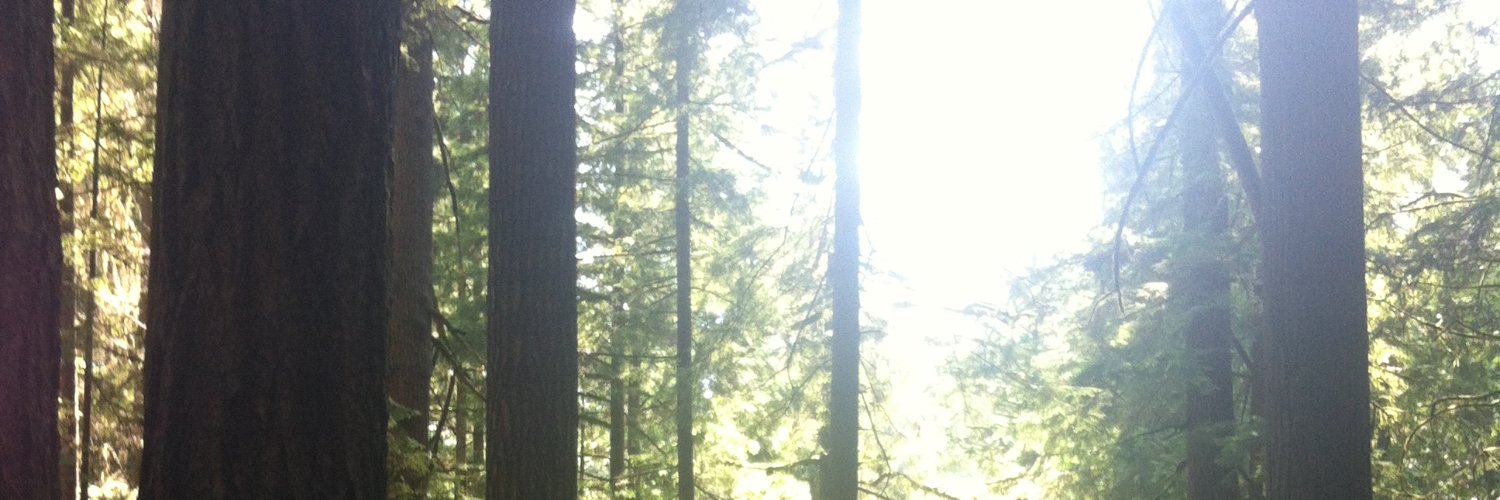 JenniferBachhub's profile banner image
