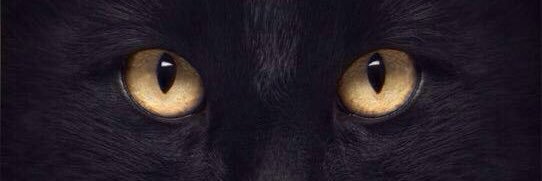 dharf banner