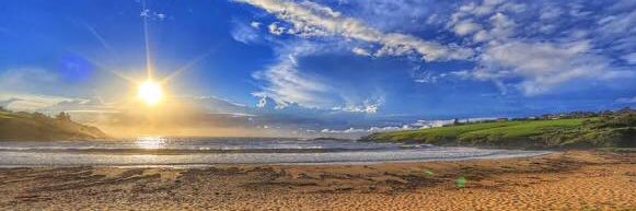 Karen Illesca banner