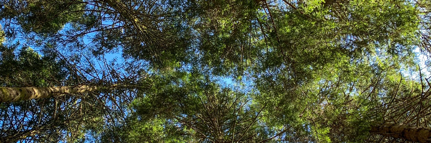 Chris Mitchell banner