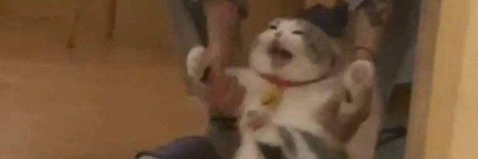 _ibbie_'s profile banner image