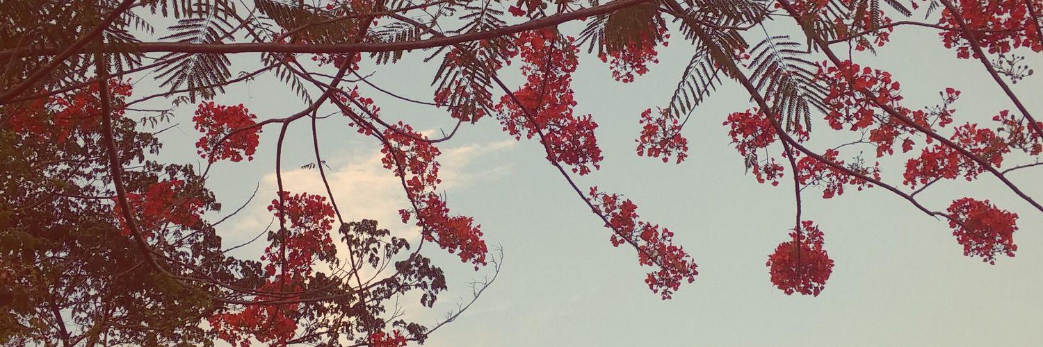 ofderringdo's profile banner image