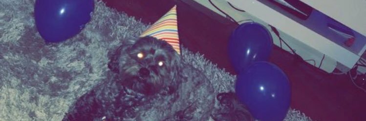 RyanBurry16's profile banner image