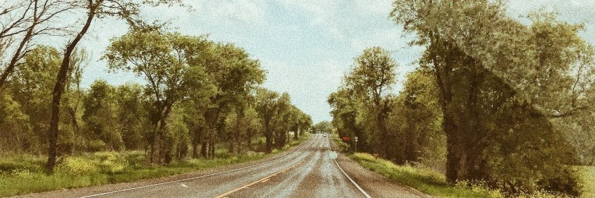katelynfinch14's profile banner image