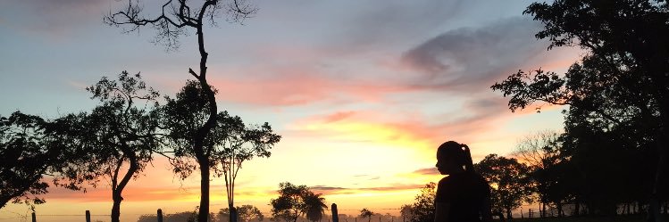 Tatileonp's profile banner image