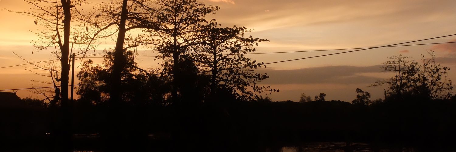 cimicims's profile banner image