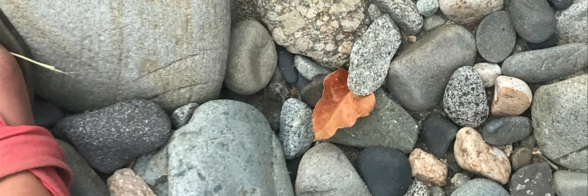 writtenonthefly's profile banner image