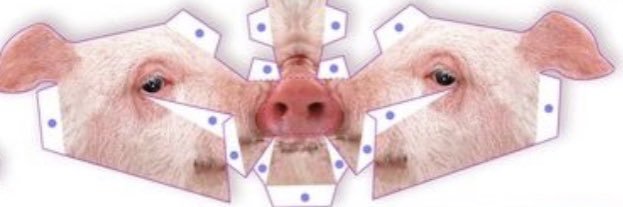 winselicious's profile banner image