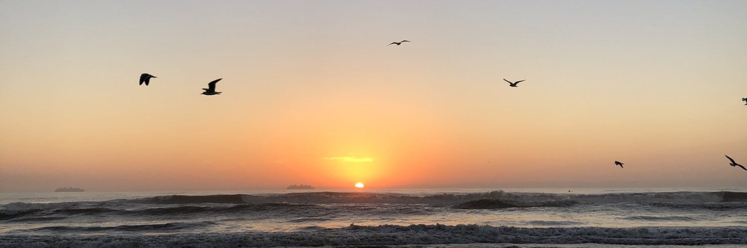 Marixgallardo's profile banner image