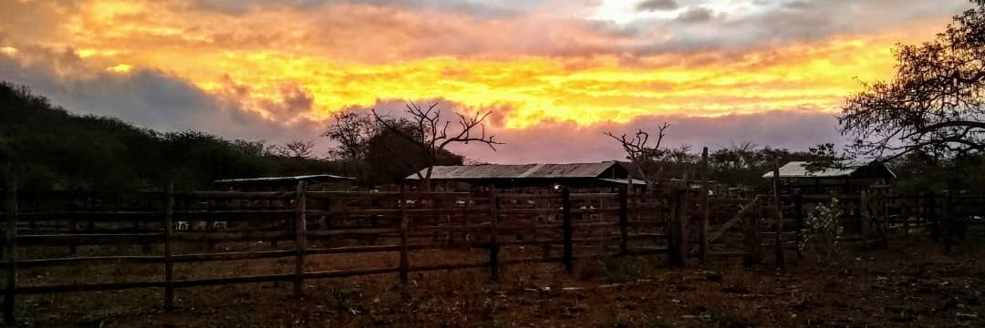 Ricardo Pepe Zamora banner