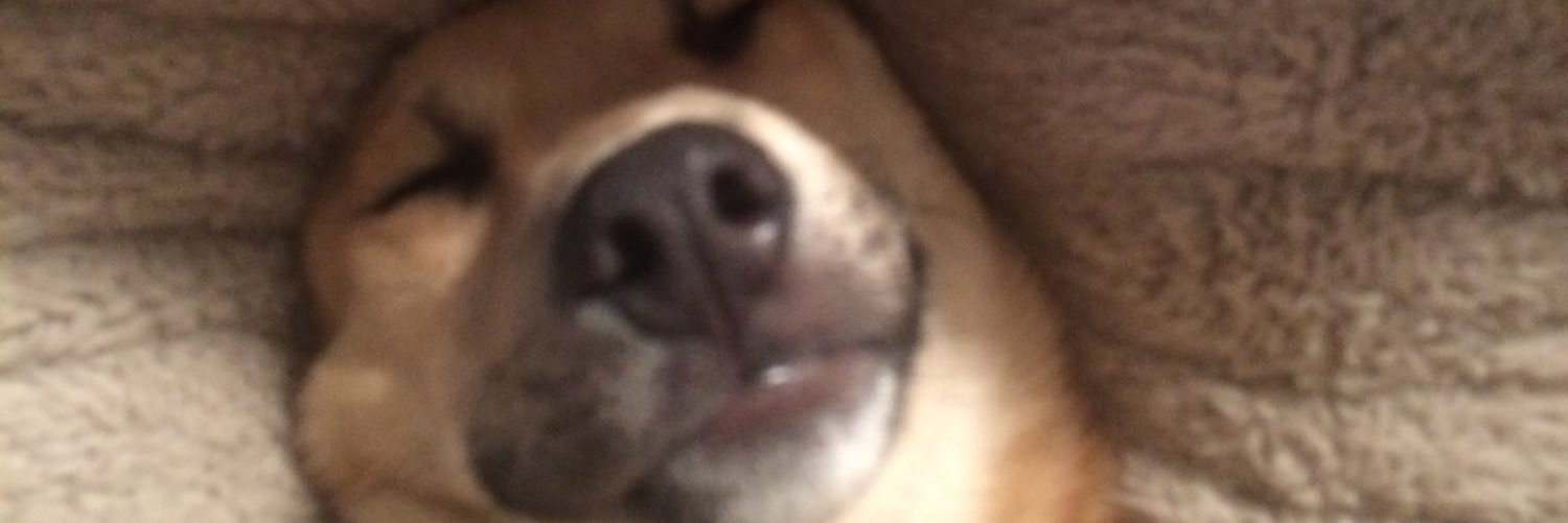 ckellogg07's profile banner image