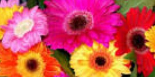 Kiersten_Craig's profile banner image