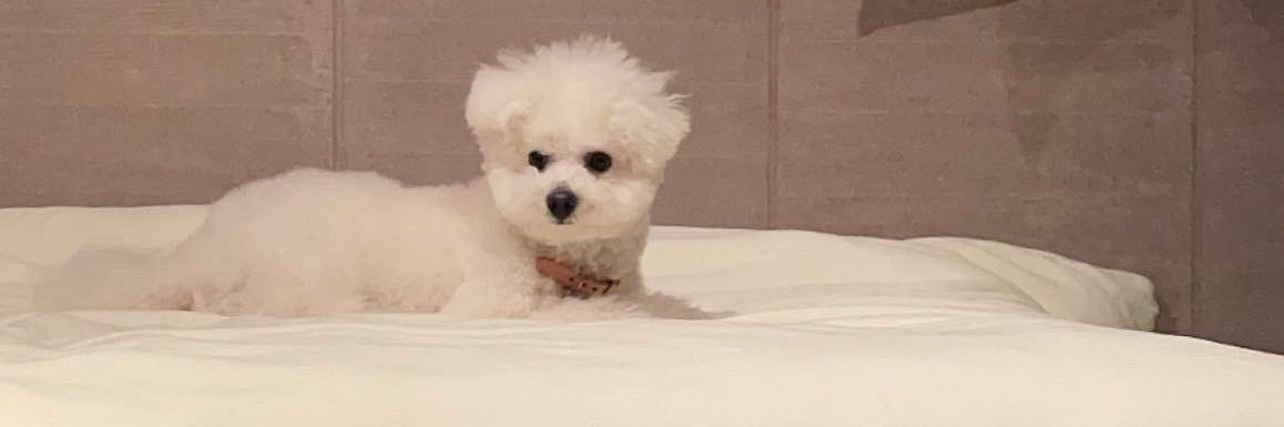 10030605_'s profile banner image