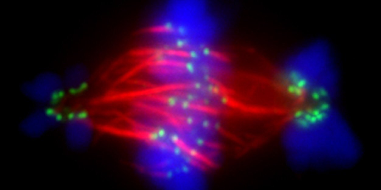 Jason Stumpff banner