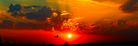 brunildadervis2's profile banner image