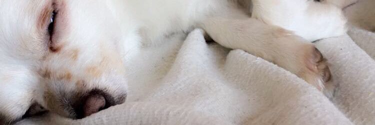 Cam_Aurel_Adam's profile banner image