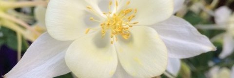 JuddFitzgerald's profile banner image