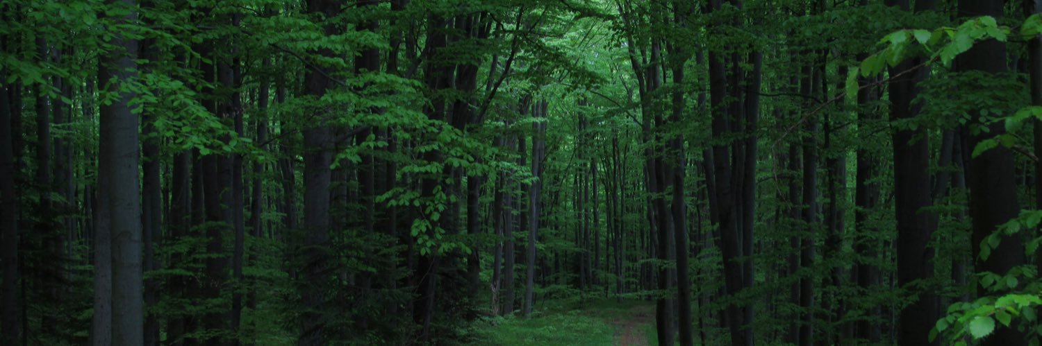 LauraFletcher9's profile banner image