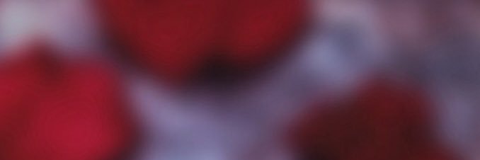 selqueenator's profile banner image