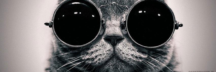 ChristianDiBene's profile banner image