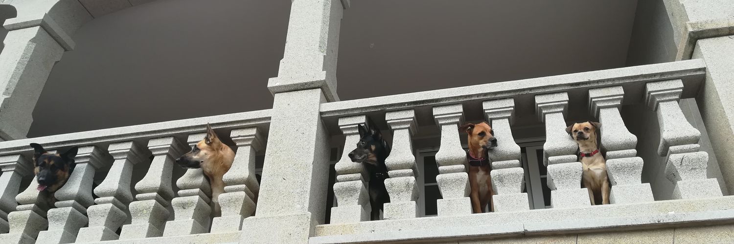 Iñaki Picallos banner