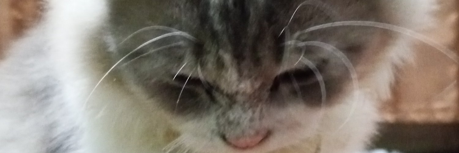 JSmexy's profile banner image