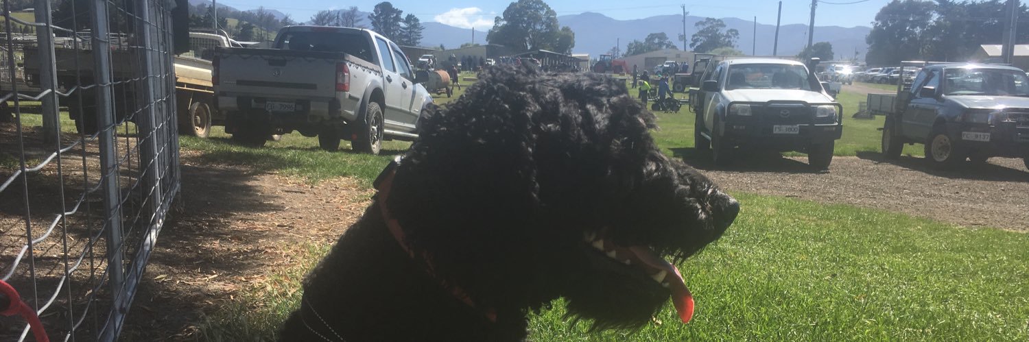 dnarmstrong's profile banner image