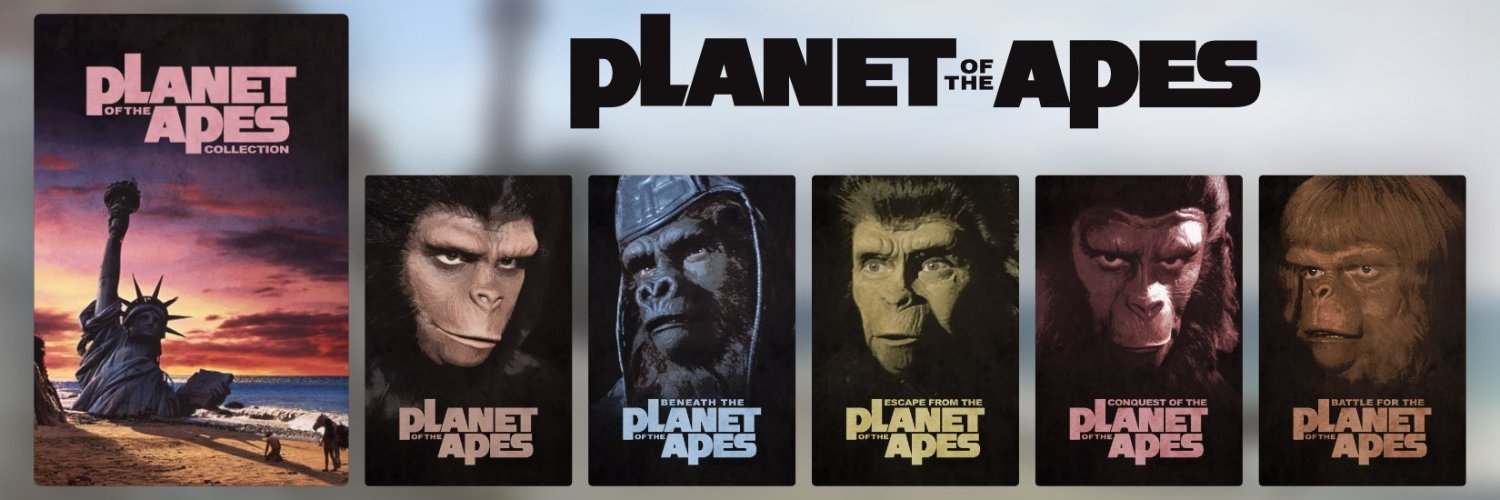 MonkeysNotApes's profile banner image