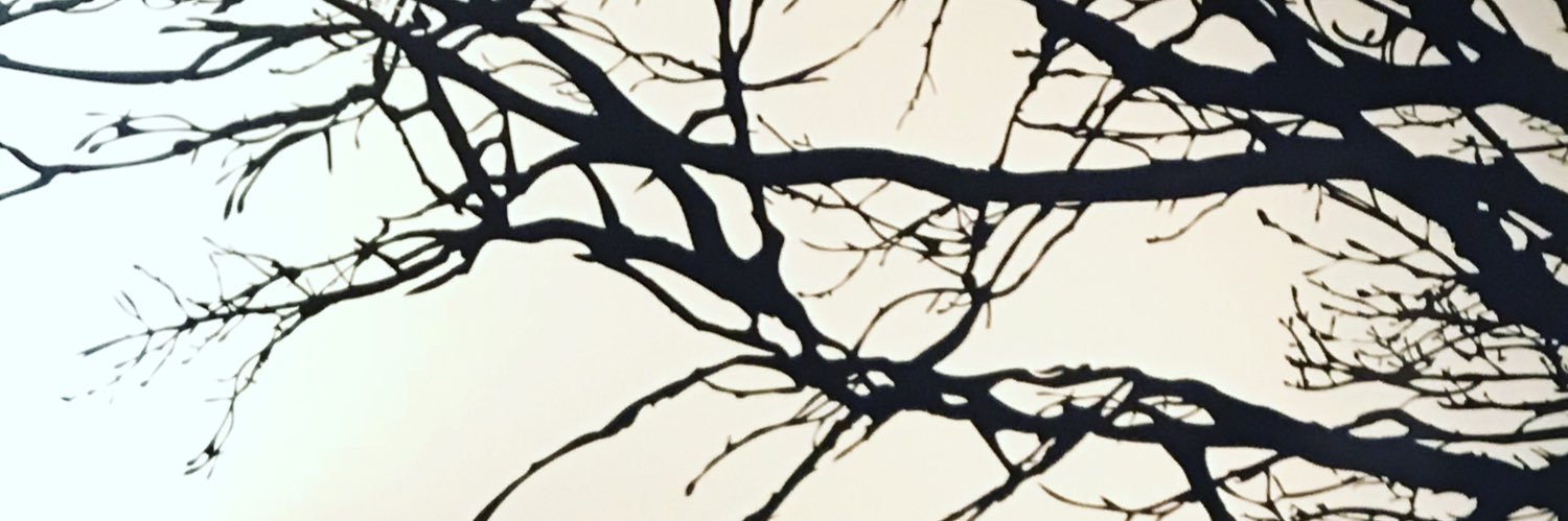 hashtagadeel's profile banner image
