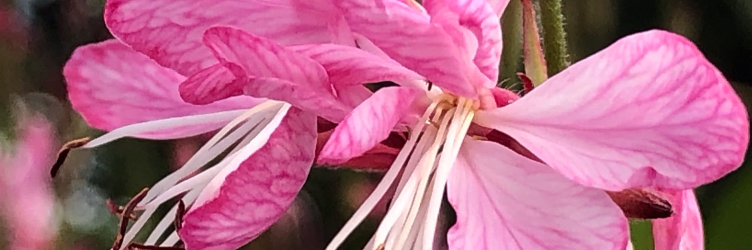 john_bent17's profile banner image