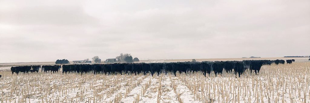 CJHowsden's profile banner image