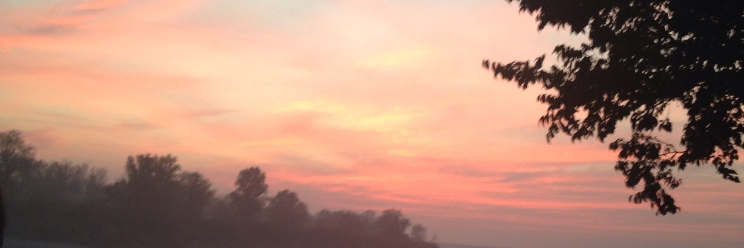 katbear97's profile banner image