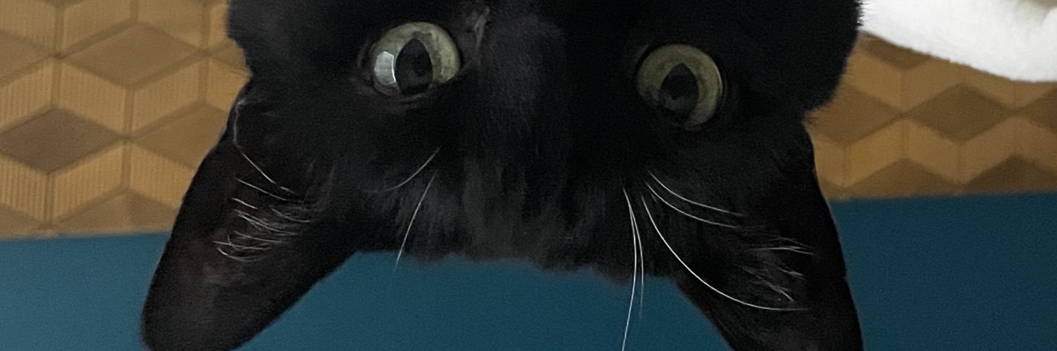 emilywagahoff's profile banner image