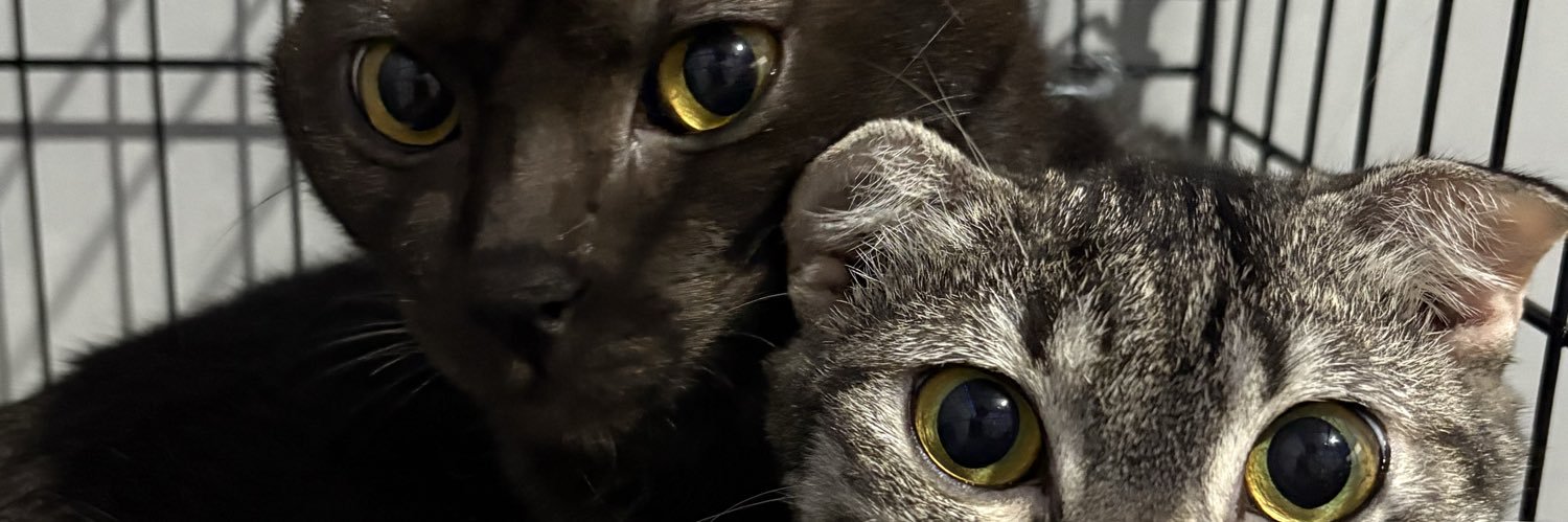 psych0moon's profile banner image
