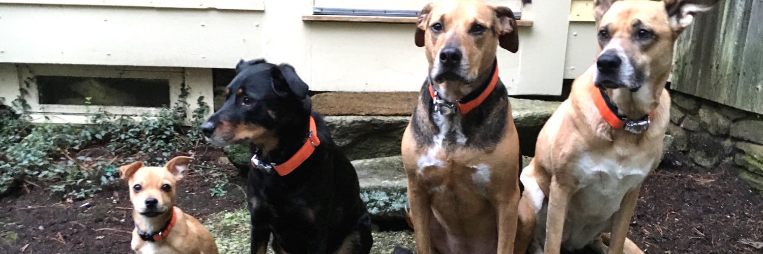3muttsbeefcake's profile banner image