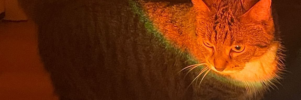 ramzeidd's profile banner image
