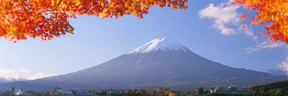 ShinyHunter59's profile banner image