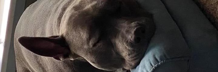 orblooker's profile banner image