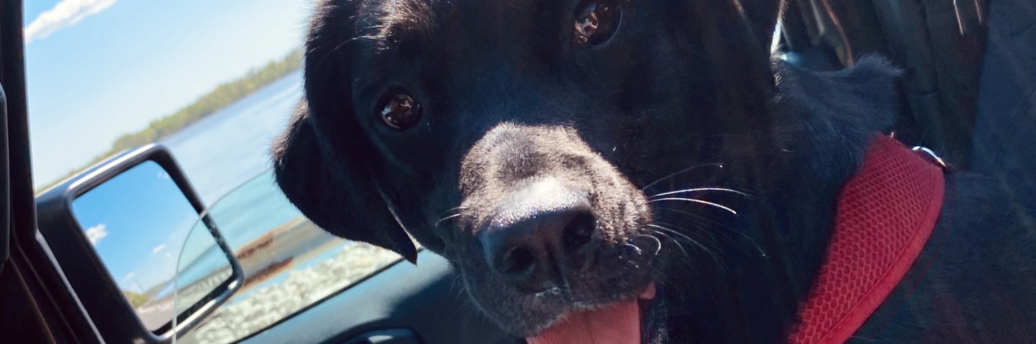 graciemaherr's profile banner image