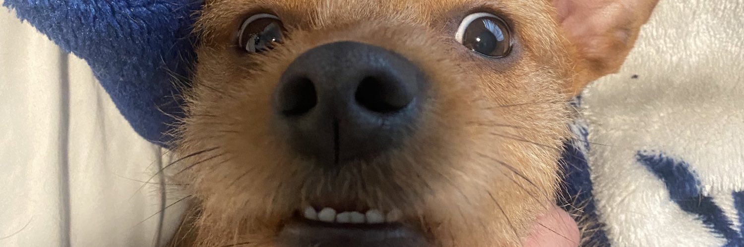 Ʊ Kommissar Beefeater Ʊ banner