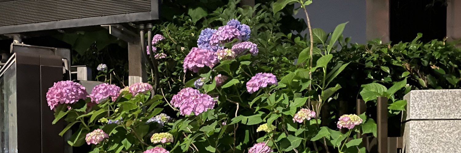 716_Hydrangea's profile banner image