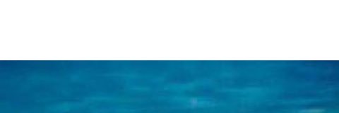 PinguimScamisa's profile banner image