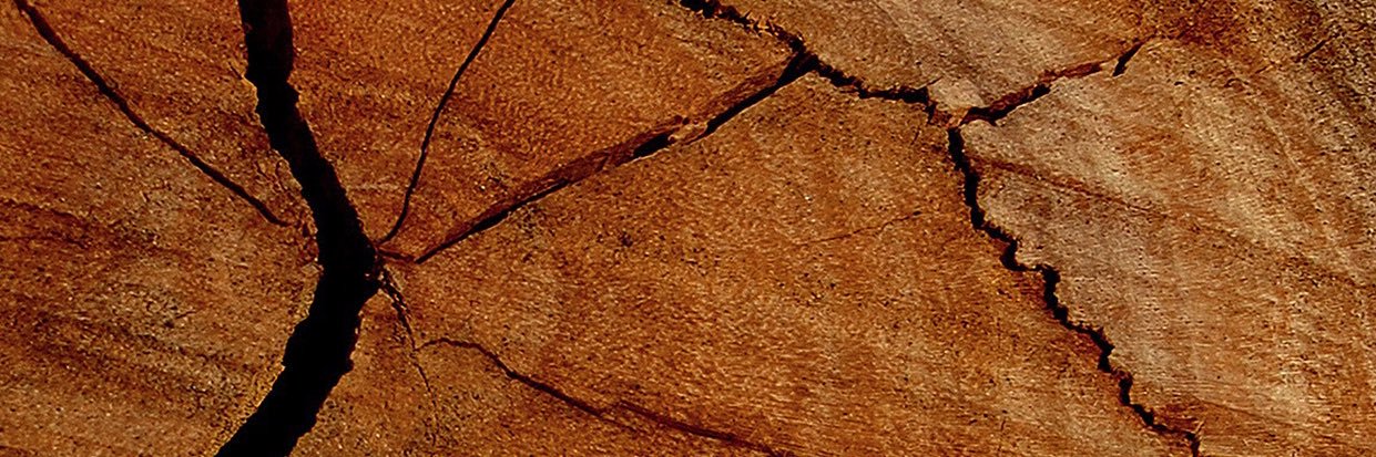 GrassiKnoll's profile banner image